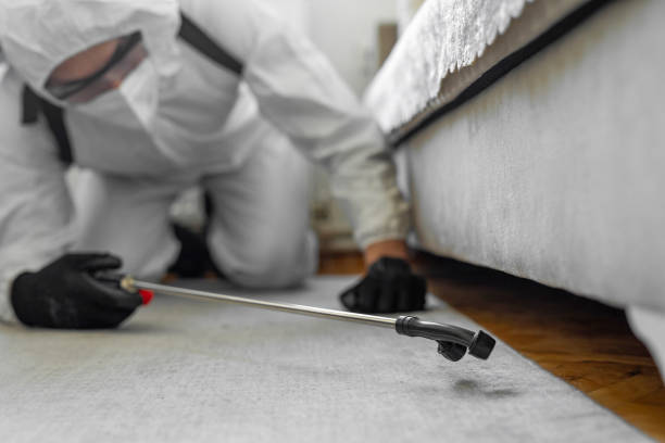 Professional Termite Control technician working in Scott City, MO