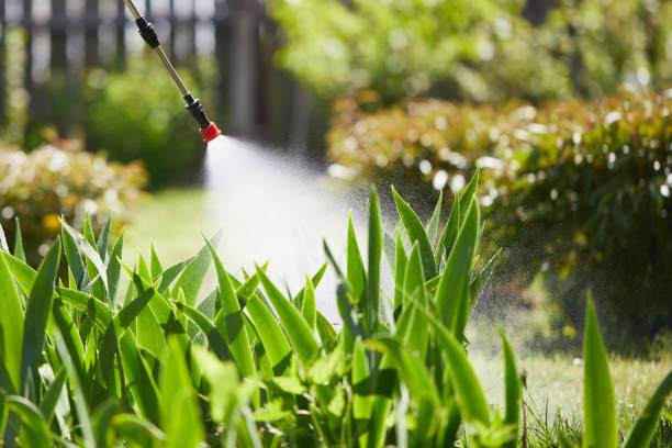 24/7 Emergency Termite Control experts in Scott City, MO